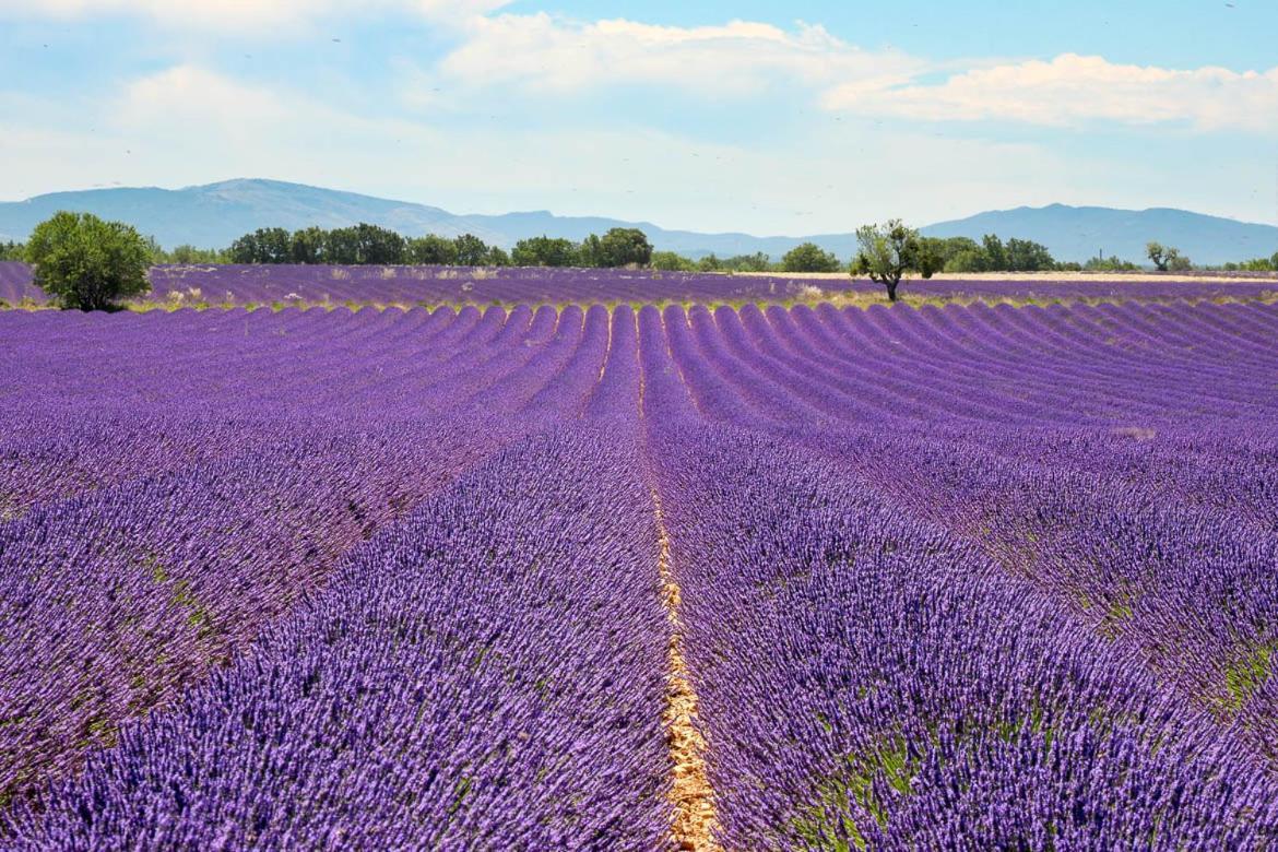 Roulotte Bohemian Lover In Provence, Valensole Luaran gambar
